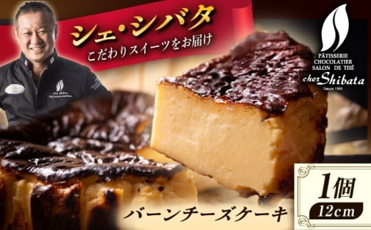 チーズケーキ バーンチーズケーキ 冷凍 ケーキ スイーツ デザート アイス チーズ ナチュラルチーズ 牛乳 クリーム 食べ比べ ご褒美 洋菓子 ちーず ちーずけーき チーズケーキ 人気 お菓子 お土産 手土産 ギフト プレゼント 贈答用 自宅用 贈り物 多治見市 / シェ・シバタ [TDH007]