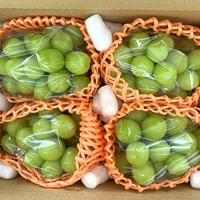 山梨市産シャインマスカット(匠) 3～4房 (2kg以上)【配送不可地域：離島】