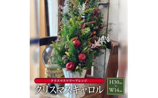 クリスマスツリーアレンジ「クリスマスキャロル」2025 SL0259