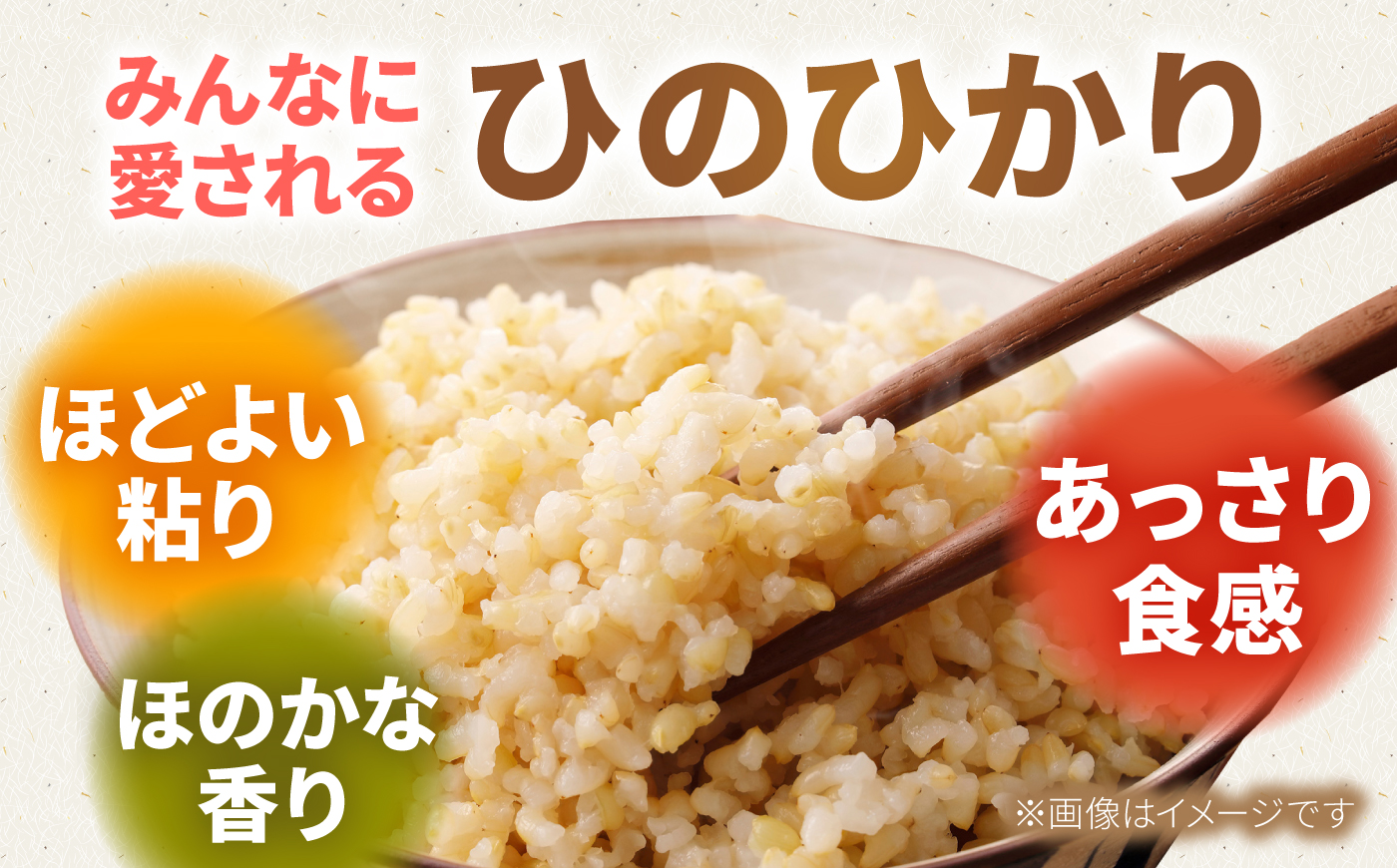 【2026年10月～発送】令和8年産 特別栽培米 ひのひかり（玄米） 5kg 【y'scompany】 [IAS030]
