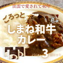 【ふるさと納税】ごろっと しまね和牛カレー3食セット 冷凍 黒毛和牛 お惣菜 手造り レストラン ディナー 本格派 レストラン 真空パック