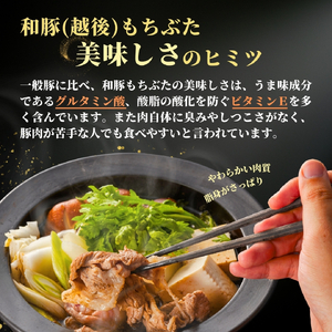 豚肉 越後もちぶた 豚ロース･バラしゃぶしゃぶセット 800g (各400グラム) セット | 豚肉 新潟県