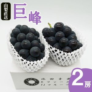 厳選 池田青果 巨峰 1.0kg以上 2房入り【2025年発送】（IS）B-468 【巨峰 ぶどう 葡萄 ブドウ 令和7年発送 期間限定 山梨県産 甲州市 フルーツ 果物】