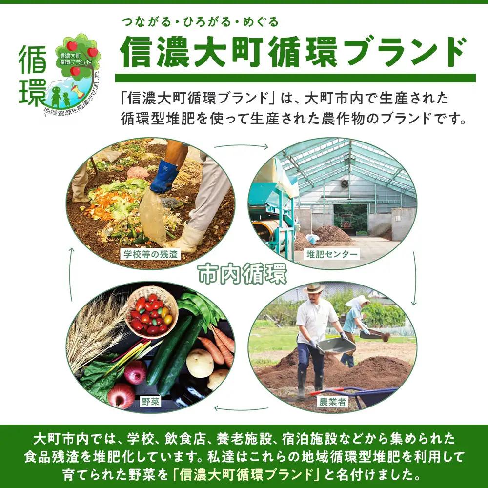 【信濃大町循環ブランド】自然栽培あけぼのもち小麦全粒粉使用　全粒粉パンケーキミックス６袋セット