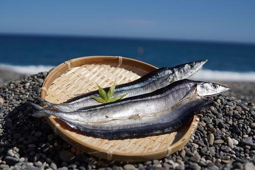 香酸柑橘と海洋深層水で美味しく減塩　減塩干物セット【しし岩】あじ アジ さんま 秋刀魚 かぺりん ししゃも