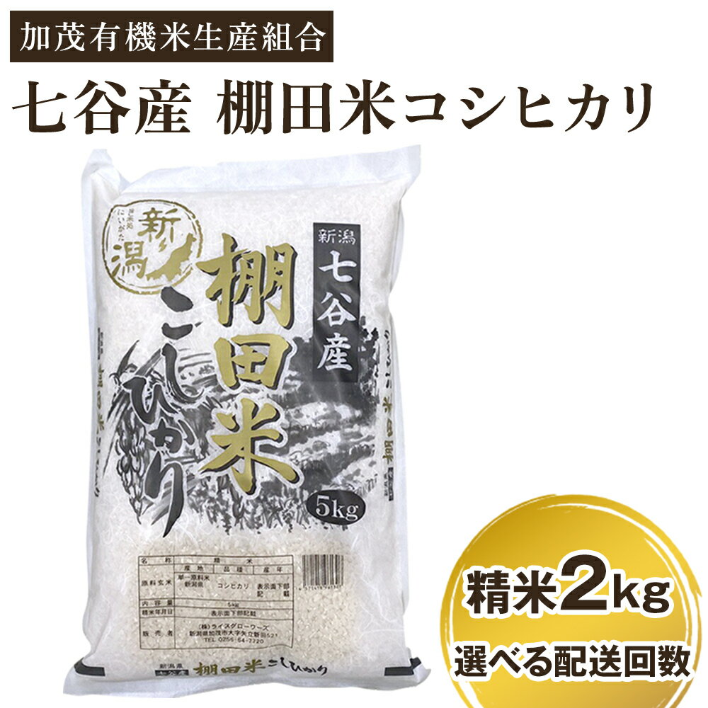 【ふるさと納税】【令和7年産新米先行予約】 新潟県加茂市 七谷産 棚田米コシヒカリ 精米2kg 選べる配送回数（通常配送1回〜定期便12回） 《10月中旬から順次出荷》 白米 加茂有機米生産組合