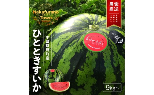 【2026年発送】北海道中富良野産大玉スイカ（ハウス栽培）9キロ〜