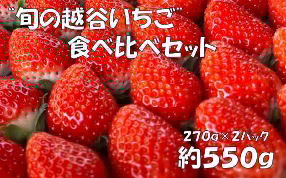 
            【旬の越谷いちご】食べ比べセット　550g ／ イチゴ 苺 果物 フルーツ 埼玉県 特産品 No.151
          