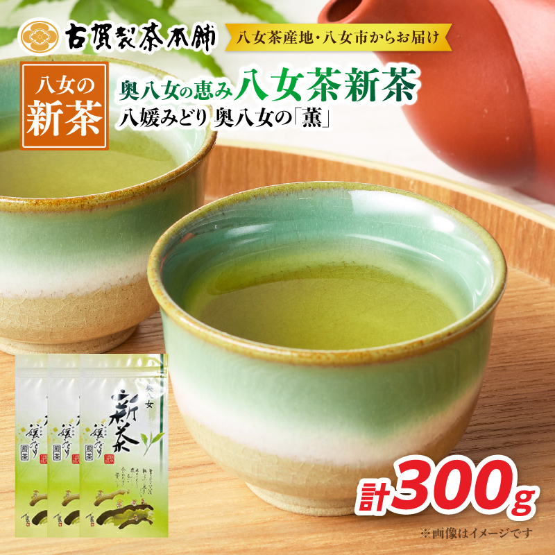 古賀製茶本舗 奥八女の「薫」八媛みどり 新茶100g×3袋【2026年5月以降発送】 煎茶 お茶 八女茶 新茶 高級 福岡県 八女市