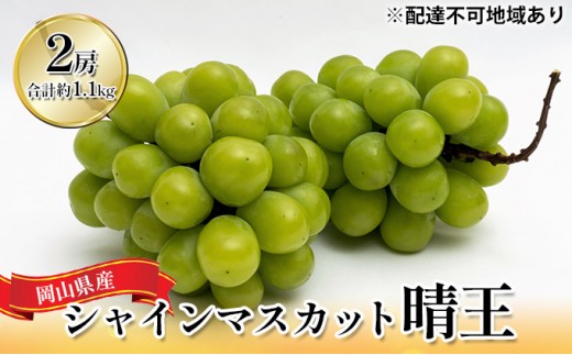 
            [№5615-0806]ぶどう 2026年 先行予約 シャイン マスカット 晴王 2房 （合計約1.1kg） 化粧箱入り マスカット ブドウ 葡萄  岡山県産 国産 フルーツ 果物 ギフト
          