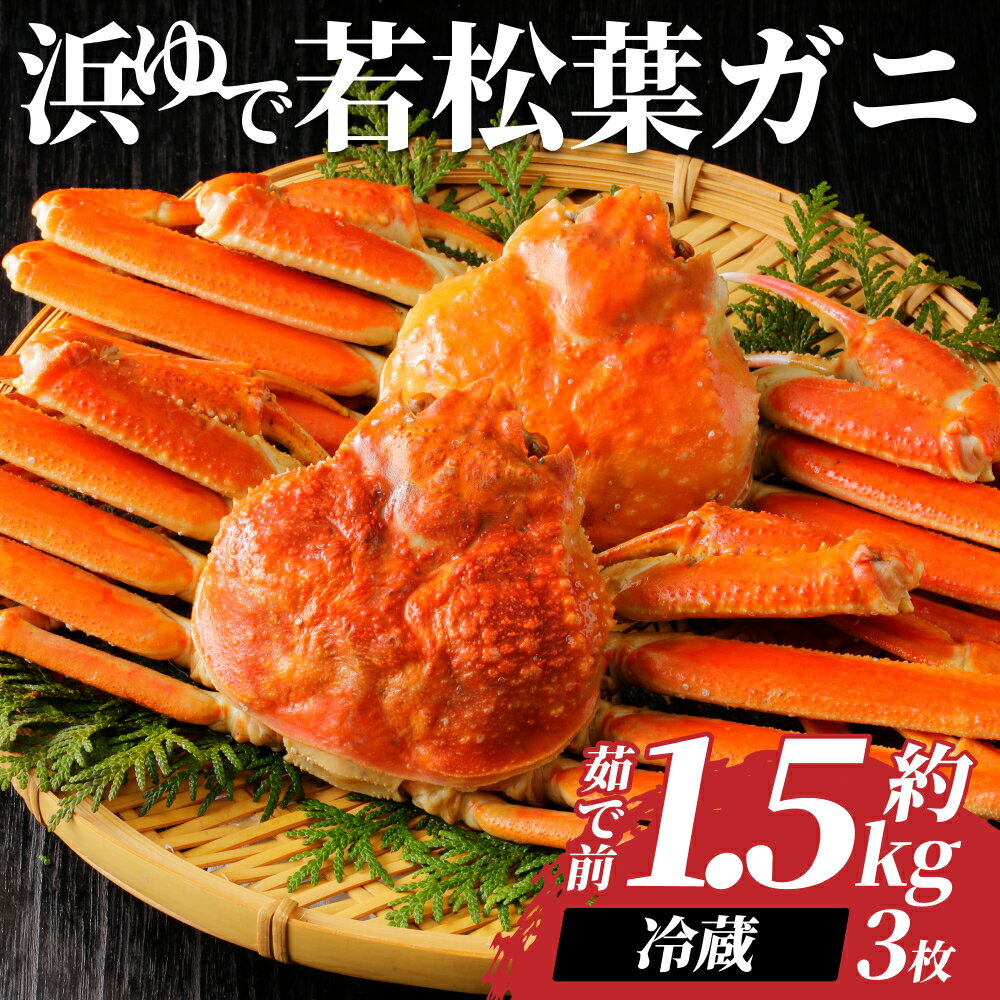 【ふるさと納税】岩美町特産　若松葉ガニ姿茹で　3枚セット ｜鳥取県 岩美町 蟹 かに カニ 松葉がに 松葉ガニ 冷蔵 送料無料【22043】