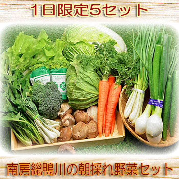 【1日限定5セット】南房総-鴨川の朝採れ野菜セット [0014-0027]