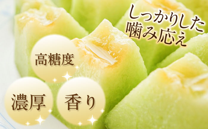 【2025年5月～発送】【さわやかな味！ 】タカミメロン 2玉 （約 2kg）  / メロン 南島原市 / 南島原果物屋 [SCV004]