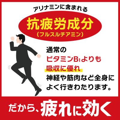 ふるさと納税 泉佐野市 アリナミンV 50ml×10本 栄養ドリンク アリナミン製薬 010B1533 |  | 03