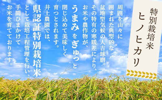 【令和7年 新米予約】特別栽培米「ヒノヒカリ」10kg 精米 井上農園 10月より順次出荷 熊本県 お米 白 米 精米 ひのひかり 国産 114-0601