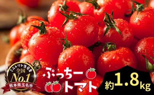 ぷっちートマト ミニトマト 1.8kg | 野菜 やさい ミニトマト ミニ とまと トマト 1.8kg リコピン 熊本県 玉名市