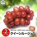 【ふるさと納税】クイーンルージュ® 約2kg (約3～6房) 《黒岩果樹園》■2025年発送■※9月中旬頃～10月下旬頃まで順次発送予定 先行予約 果物 ぶどう 葡萄 フルーツ 種なし