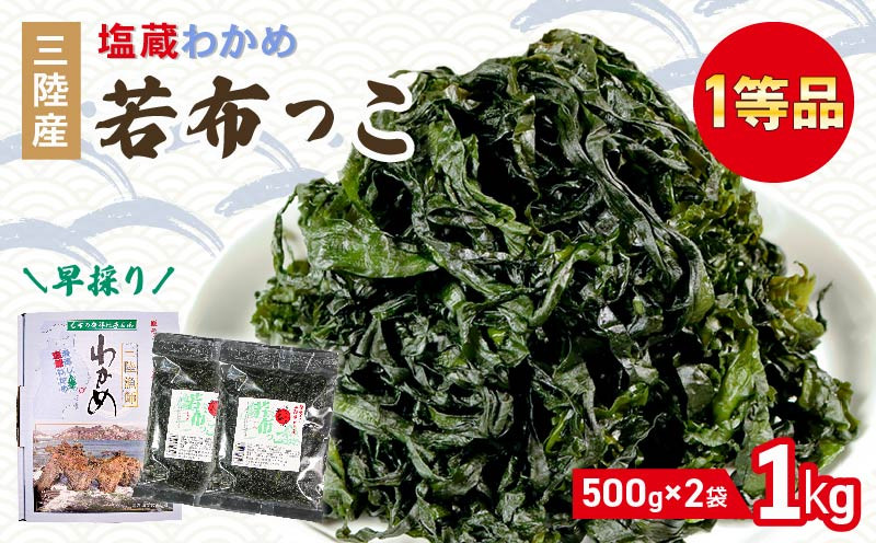 
            早採り 塩蔵わかめ 若布っこ 500g×2袋 海鮮 海藻 わかめ ワカメ 贈答品 贈答用 魚貝類 魚介類 みそ汁 スープ 酢の物 小分け 三陸産 岩手県 大船渡市
          