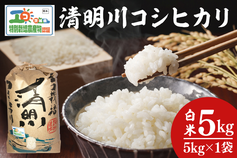 04-01 茨城県特別栽培認証 清明川コシヒカリ白米5kg【令和６年産新米】【米 おこめ こしひかり  特別栽培米 農家直送 直送 茨城県 阿見町】