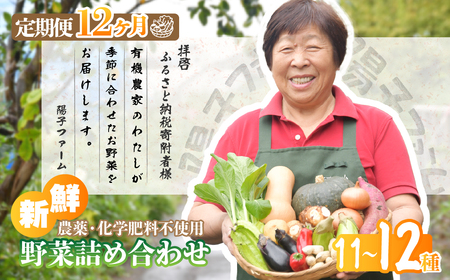 ＜12ヶ月定期便＞旬の野菜詰め合わせ 11～12種 | 野菜セット 詰め合わせ 定期便