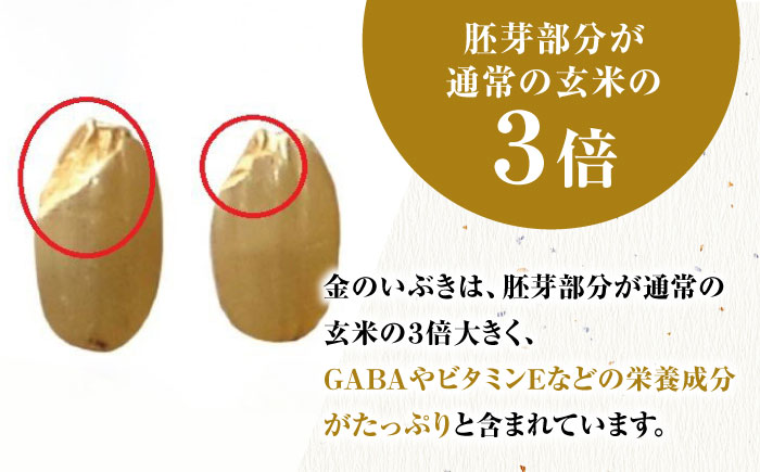 栽培期間中農薬不使用 令和5年産 金のいぶき 玄米 5kg 武雄市/鶴ノ原北川農園 [UDL021]