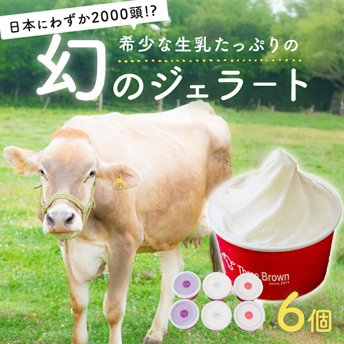 【ふるさと納税】〈選べる数量〉ジェラート アイス 幻の牛の生乳から作る 無添加ジェラート 6個 12個 ｜ジェラート 無添加 ミルク いちご ブルーベリー 生乳 希少 美味しい 人気 リッチ 極上 乳製品 新鮮 なめらか あっさり デザート おやつ 贈り物 贈答 日用 食後 口直し