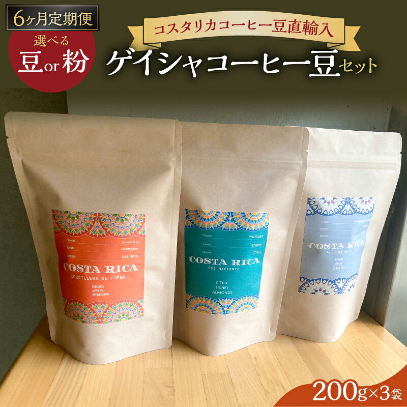【ふるさと納税】 【豆か粉か選べる】6カ月定期便ゲイシャコーヒー豆セット 神奈川県 川崎市 コスタリカ コーヒー ゲイシャ Qアラビカグレーダー マイクロロット 自家焙煎 珈琲豆 送料無料
