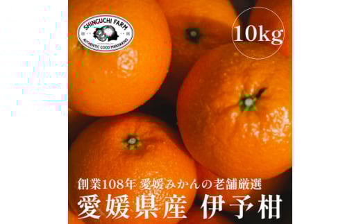 創業百八年 愛媛みかんの老舗＜伊予柑10kg＞＜新口農園＞＜D70-13＞【1470714】