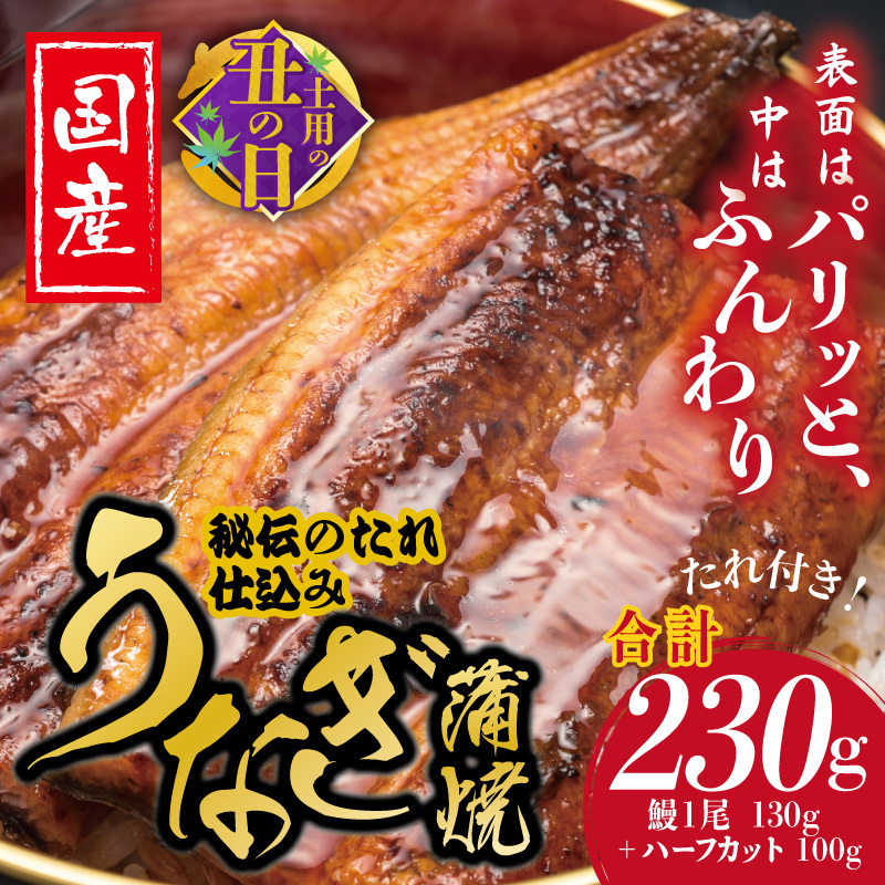 【土用の丑の日までにお届け】国産うなぎ お試し 230g（鰻1尾 130g+ ハーフカット 100g）訳あり お試し ウナギ 無頭 炭火焼き 備長炭 手焼き 先行予約 G1851c