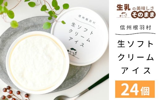 
                  〈１週間以内発送！〉着色料・香料不使用！ 生ソフトクリームアイス 24個 80ml 生乳 ミルク スイーツ アイスクリーム 搾りたて アイス ソフトクリーム ミルクアイス 牛乳アイス
                