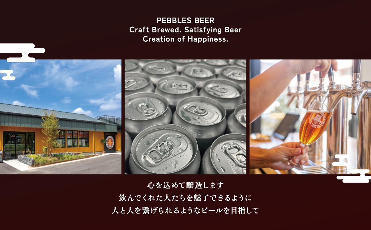 【6回定期便】つくばブルワリー クラフトビール 6本セット【 飲み比べ クラフトビール ビール お酒 酒 麦酒 IPA 缶 地ビール 茨城県 つくば市 】