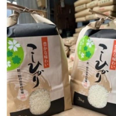 ふるさと納税 恵那市 恵那こしひかり