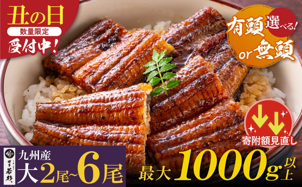 
                  【累計30万尾突破！】 国産 うなぎ蒲焼大サイズ（有頭/無頭） 2尾～6尾（計310g～1000g以上）タレ 山椒付 鹿児島県産 宮崎県産 熊本県産 うなぎ うなぎ 蒲焼 国産 人気 鰻 ランキング ウナギ unagi 鰻蒲焼 蒲焼き真空 個包装 小分け 冷凍 おすすめ タレ 山椒 大容量 丑の日 予約 先行予約 福岡県 福智町 Z61
                