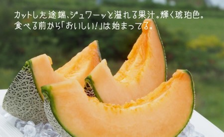 甘～い贅沢「特選甘熟レッドメロン」2玉