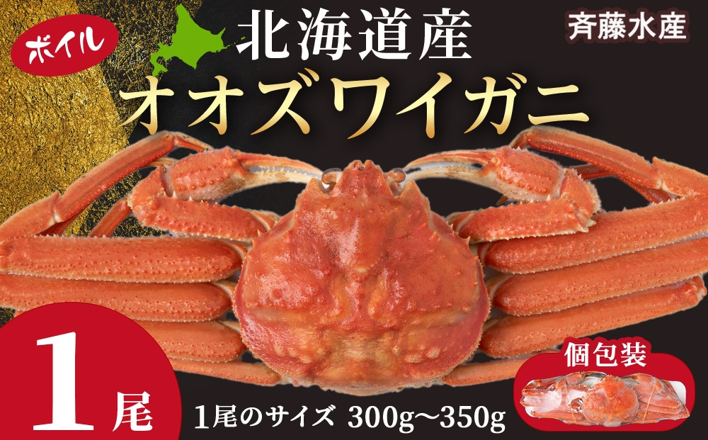 
                  AM218 北海道産 オオズワイ 300g～350g ×1尾  オオズワイ 蟹 かに カニ ボイル
                