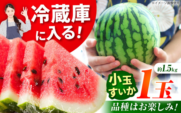
                  【先行予約】小玉スイカ 3L以上 1玉入り 約1.5kg 【日本フルーツ株式会社】 1万円以下 10000円以下 [ZFJ011]
                