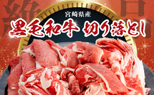 宮崎県産 黒毛和牛 バラ・モモ切り落とし 約750g×1P 冷凍|国産牛 牛肉 お肉 切り落とし スライス バラ モモ パック 化粧箱入り 焼肉 塩 わさび醤油 ポン酢 有田牧畜産業 宮崎県 諸塚村 