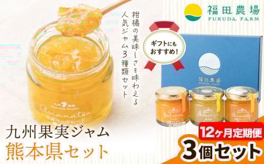 九州果実ジャム 熊本県セット 3個セット 12ヶ月定期便 デコポンジャム 甘夏マーマレード 晩白柚ジャム 1個あたり120g《お申込み月の翌月から出荷開始》熊本県 水俣市 津奈木町 福田農場 ジャム 