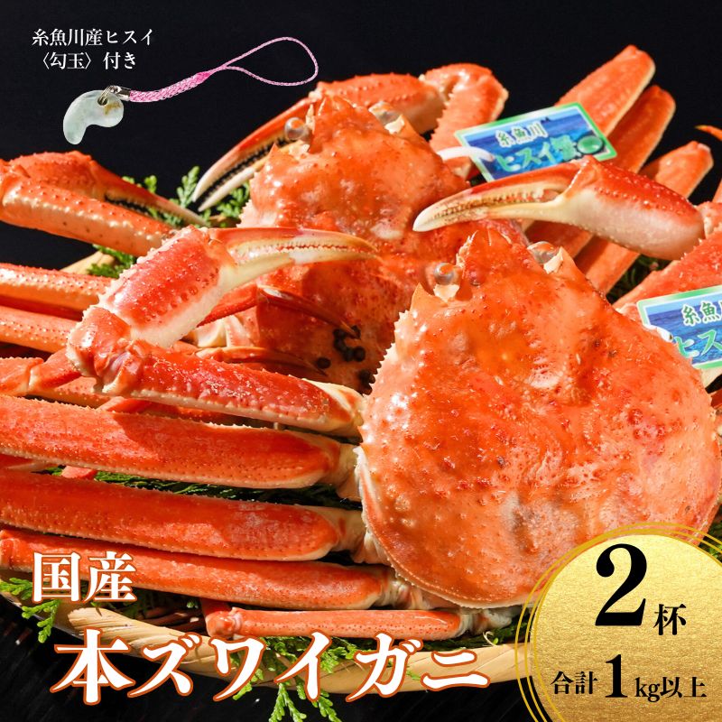 【ふるさと納税】〈期間限定〉本ズワイガニ 500g以上×2杯 計1kg以上 《ヒスイ勾玉付き》 姿 蒸し蟹 糸魚川産 鮮度が命！蒸したて直送 ずわいがに かに 蟹 ヒスイ水産 国産 日本海 新潟 新鮮 タグ付き 11月から漁開始 ギフトにも おススメ カニ ヒスイ蟹 まがたま