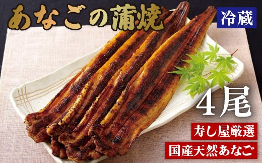 【 朝焼き 】 寿司屋 厳選 あなご 蒲焼き 約600g 4尾 国産 アナゴ 穴子 長崎県 佐世保市