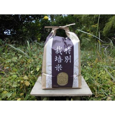 ふるさと納税 上郡町 【栽培期間中農薬不使用】『タガメの里自然米』2025年産「ぴかまる」玄米5kg |  | 01