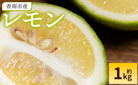 レモン 1kg - 香南市産 国産 檸檬 れもん 果物 くだもの フルーツ 野菜 柑橘 果汁 料理 アレンジ はちみつレモンパウンドケーキ 高知県 香南市 常温 冷蔵 sj-0008