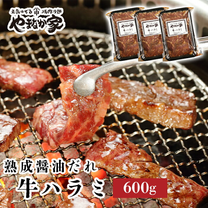 【ふるさと納税】旨みたっぷり牛ハラミ【熟成醤油だれ】600g 焼肉 やまなか家 牛肉 冷凍 BBQ アウトドア パーティー お祝い ガッツリ 母の日 父の日 お中元 お土産 贈り物 ご贈答 KYフーズ (K2-028) 岩手県 北上市 D0500