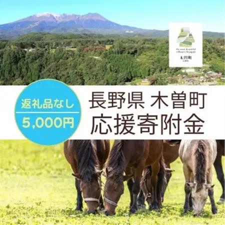 【返礼品なし】長野県木曽町応援寄附金(5,000円)