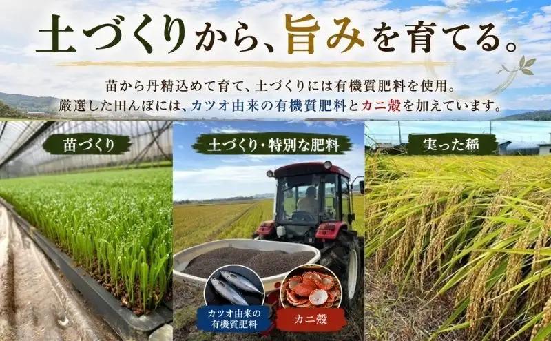 千葉県一宮町産特別肥料栽培『カツオ＋カニ』コシヒカリ（白米10kg）令和8年度産米【2026年発送分】　先行予約