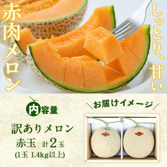【春限定・数量限定】牧さんの訳ありメロン 赤玉(赤肉)計2玉 b0-122