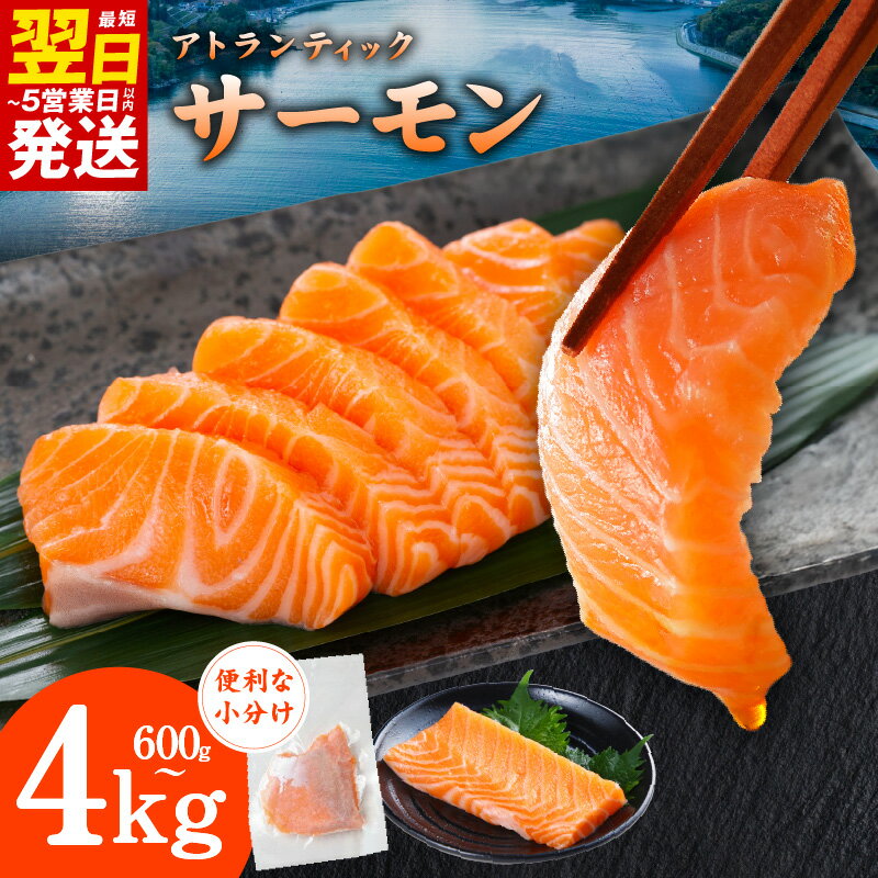 【ふるさと納税】最短翌日発送 生食可！ アトランティックサーモン 選べる 内容量 600g / 1kg / 1.2kg / 1.6kg / 2kg / 3kg / 4kg 定期便 小分け 柵切り 刺身 海鮮丼 カルパッチョ 鮭 サーモン 魚介 海鮮 魚 海産物 水産加工品 おかず 5営業日 大阪府 泉佐野市 送料無料