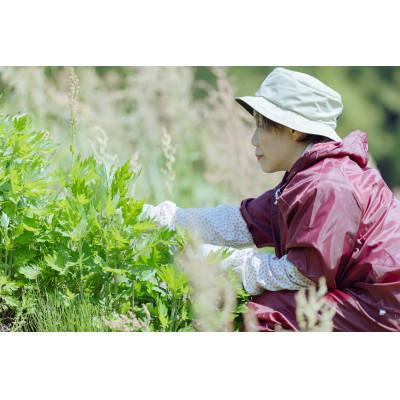 ふるさと納税 糸魚川市 ヨモギ粉末100グラム 2袋セット |  | 01