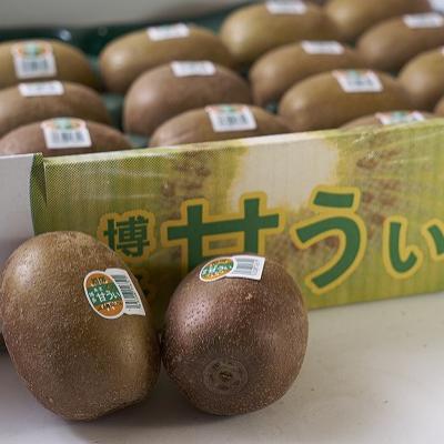 ふるさと納税 直方市 福岡限定!ブランドキウイ「甘うぃ(あまうぃ)」約3kg箱(24-30玉) (直方市) |  | 02