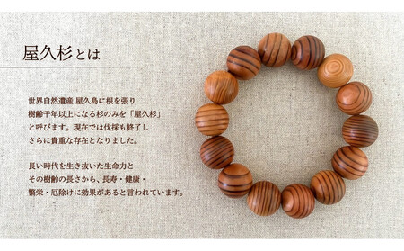 屋久杉15mm玉ブレスレット【16cm (S)】